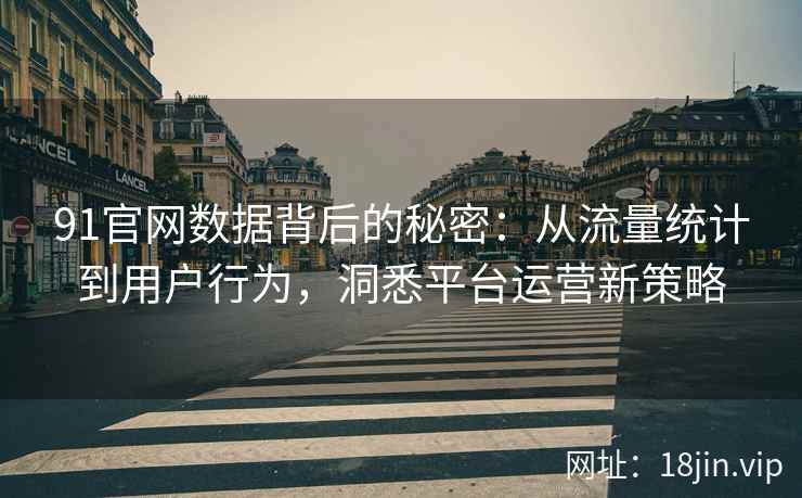91官网数据背后的秘密：从流量统计到用户行为，洞悉平台运营新策略