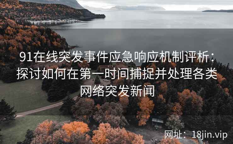 91在线突发事件应急响应机制评析：探讨如何在第一时间捕捉并处理各类网络突发新闻