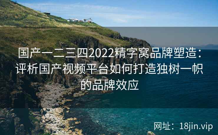 国产一二三四2022精字窝品牌塑造：评析国产视频平台如何打造独树一帜的品牌效应