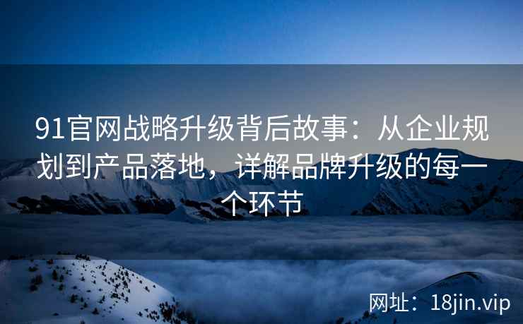 91官网战略升级背后故事：从企业规划到产品落地，详解品牌升级的每一个环节